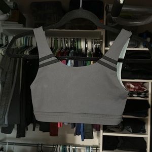 Grey Born Primitive bra